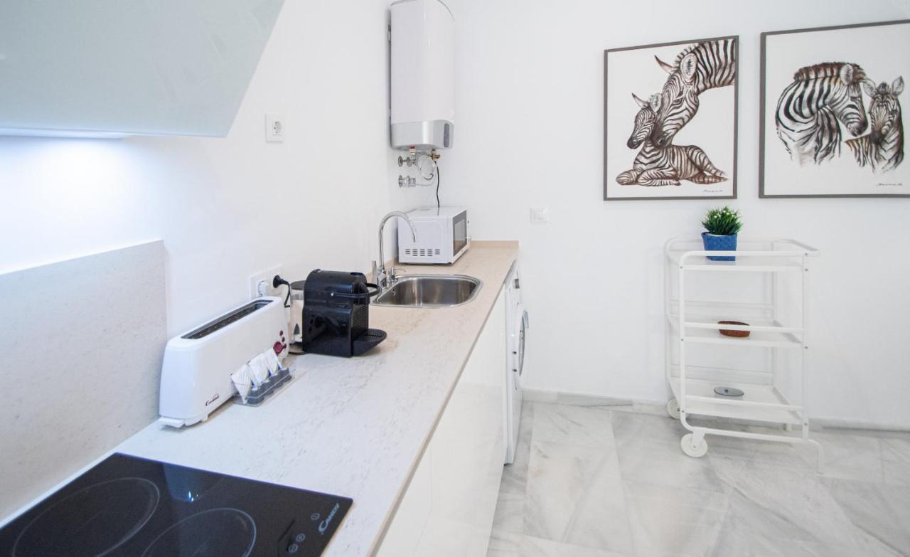 Apartamento Animalia Cádiz Buitenkant foto